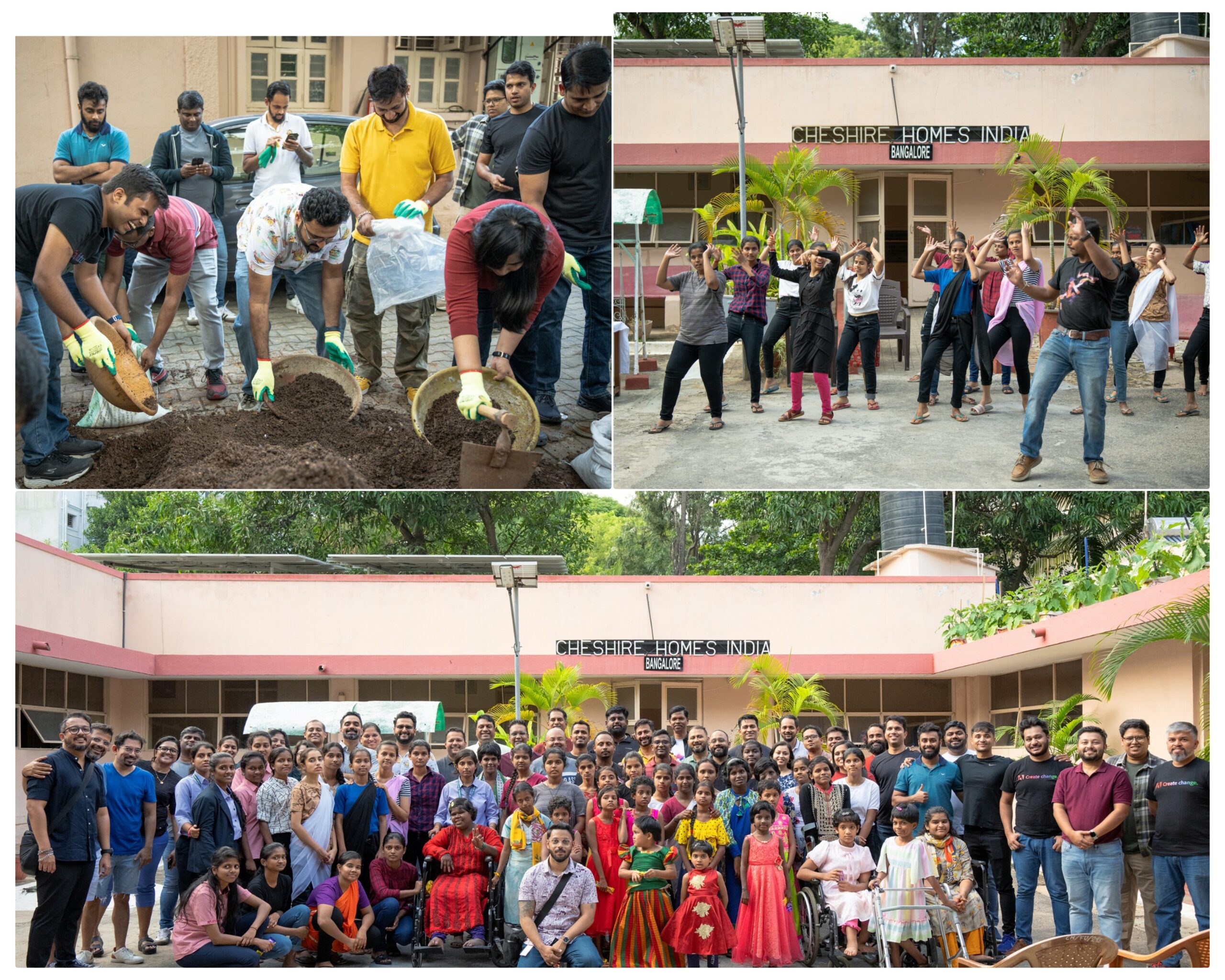 Adobe Employees Entertain and Plant Saplings